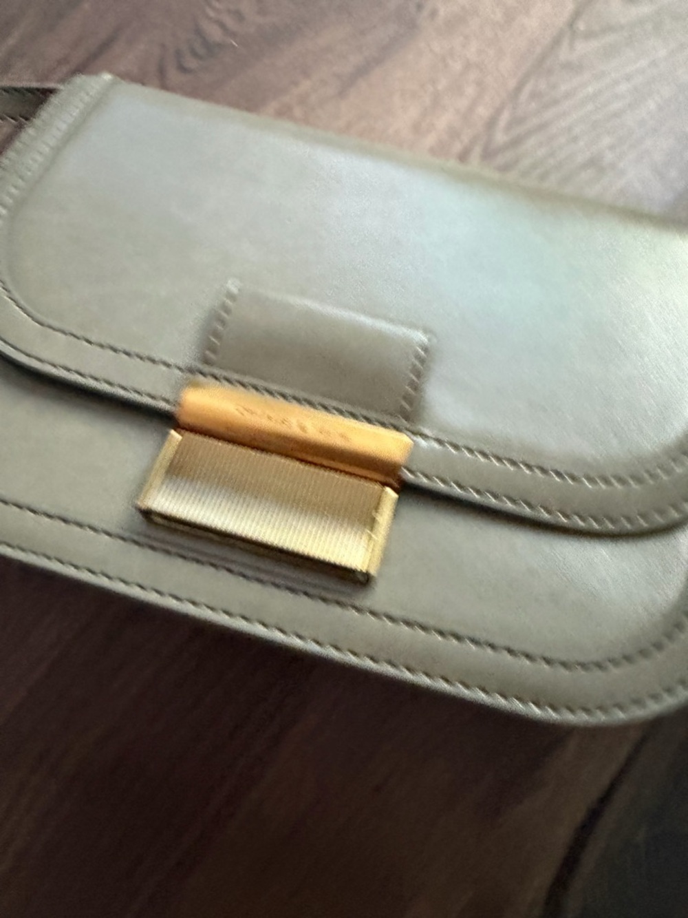 Charles & Keith Olive-Taupe Leather Crossbody with Gold Accent - Picture 2 of 7